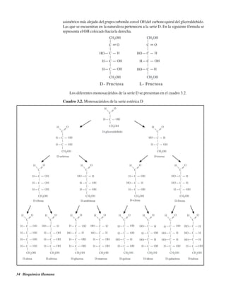 34 Bioquímica Humana
asimétrico más alejado del grupo carbonilo con el OH del carbono quiral del gliceraldehído.
Las que se encuentran en la naturaleza pertenecen a la serie D. En la siguiente fórmula se
representa el OH colocado hacia la derecha.
Los diferentes monosacáridos de la serie D se presentan en el cuadro 3.2.
Cuadro 3.2. Monosacáridos de la serie estérica D
http://MedicoModerno.Blogspot.com
 