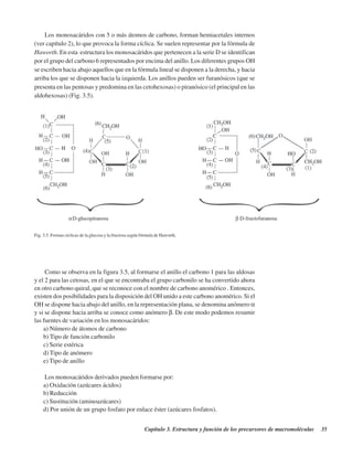 Capítulo 3. Estructura y función de los precursores de macromoléculas 35
Los monosacáridos con 5 o más átomos de carbono, forman hemiacetales internos
(ver capítulo 2), lo que provoca la forma cíclica. Se suelen representar por la fórmula de
Haworth. En esta estructura los monosacáridos que pertenecen a la serie D se identifican
por el grupo del carbono 6 representados por encima del anillo. Los diferentes grupos OH
se escriben hacia abajo aquellos que en la fórmula lineal se disponen a la derecha, y hacia
arriba los que se disponen hacia la izquierda. Los anillos pueden ser furanósicos (que se
presenta en las pentosas y predomina en las cetohexosas) o piranósico (el principal en las
aldohexosas) (Fig. 3.5).
Fig. 3.5. Formas cíclicas de la glucosa y la fructosa según fórmula de Haworth.
Como se observa en la figura 3.5, al formarse el anillo el carbono 1 para las aldosas
y el 2 para las cetosas, en el que se encontraba el grupo carbonilo se ha convertido ahora
en otro carbono quiral, que se reconoce con el nombre de carbono anomérico . Entonces,
existen dos posibilidades para la disposición del OH unido a este carbono anomérico. Si el
OH se dispone hacia abajo del anillo, en la representación plana, se denomina anómero α
y si se dispone hacia arriba se conoce como anómero β. De este modo podemos resumir
las fuentes de variación en los monosacáridos:
a) Número de átomos de carbono
b) Tipo de función carbonilo
c) Serie estérica
d) Tipo de anómero
e) Tipo de anillo
Los monosacáridos derivados pueden formarse por:
a) Oxidación (azúcares ácidos)
b) Reducción
c) Sustitución (aminoazúcares)
d) Por unión de un grupo fosfato por enlace éster (azúcares fosfatos).
http://MedicoModerno.Blogspot.com
 