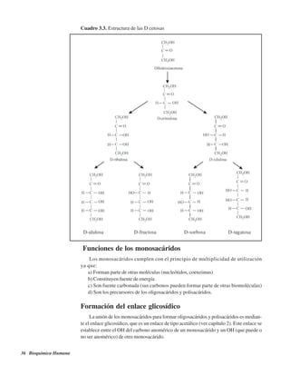 36 Bioquímica Humana
Cuadro 3.3. Estructura de las D cetosas
Funciones de los monosacáridos
Los monosacáridos cumplen con el principio de multiplicidad de utilización
ya que:
a) Forman parte de otras moléculas (nucleótidos, coenzimas)
b) Constituyen fuente de energía
c) Son fuente carbonada (sus carbonos pueden formar parte de otras biomoléculas)
d) Son los precursores de los oligosacáridos y polisacáridos.
Formación del enlace glicosídico
La unión de los monosacáridos para formar oligosacáridos y polisacáridos es median-
te el enlace glicosídico, que es un enlace de tipo acetálico (ver capítulo 2). Este enlace se
establece entre el OH del carbono anomérico de un monosacárido y un OH (que puede o
no ser anomérico) de otro monosacárido.
http://MedicoModerno.Blogspot.com
 