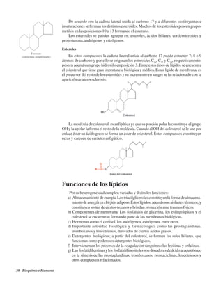 50 Bioquímica Humana
De acuerdo con la cadena lateral unida al carbono 17 y a diferentes sustituyentes e
insaturaciones se forman los distintos esteroides. Muchos de los esteroides poseen grupos
metilos en las posiciones 10 y 13 formando el esterano.
Los esteroides se pueden agrupar en: esteroles, ácidos biliares, corticosteroides y
progesterona, andrógenos y estrógenos.
Esteroles
En estos compuestos la cadena lateral unida al carbono 17 puede contener 7; 8 o 9
átomos de carbono y por ello se originan los esteroides C26
, C27
y C28
, respectivamente;
poseen además un grupo hidroxilo en posición 3. Entre estos tipos de lípidos se encuentra
el colesterol que tiene gran importancia biológica y médica. Es un lípido de membrana, es
el precursor del resto de los esteroides y su incremento en sangre se ha relacionado con la
aparición de ateroesclerosis.
La molécula de colesterol, es anfipática ya que su porción polar la constituye el grupo
OH y la apolar la forma el resto de la molécula. Cuando al OH del colesterol se le une por
enlace éster un ácido graso se forma un éster de colesterol. Estos compuestos constituyen
ceras y carecen de carácter anfipático.
Funciones de los lípidos
Por su heterogeneidad cumplen variadas y disímiles funciones:
a) Almacenamiento de energía. Los triacilgliceroles constituyen la forma de almacena-
miento de energía en el tejido adiposo. Estos lípidos, además son aislantes térmicos, y
constituyen sostén de ciertos órganos y brindan protección ante traumas físicos.
b) Componentes de membrana. Los fosfátidos de glicerina, los esfingolípidos y el
colesterol se encuentran formando parte de las membranas biológicas.
c) Hormonas como el cortisol, los andrógenos, estrógenos, entre otras.
d) Importante actividad fisiológica y farmacológica como las prostaglandinas,
tromboxanos y leucotrienos, derivados de ciertos ácidos grasos.
e) Detergentes biológicos; a partir del colesterol, se forman las sales biliares, que
funcionan como poderosos detergentes biológicos.
f) Intervienen en los procesos de la coagulación sanguínea: las lecitinas y cefalinas.
g) Las fosfatidil colinas y los fosfatidil inositoles son donadores de ácido araquidónico
en la síntesis de las prostaglandinas, tromboxanos, prostaciclinas, leucotrienos y
otros compuestos relacionados.
http://MedicoModerno.Blogspot.com
 