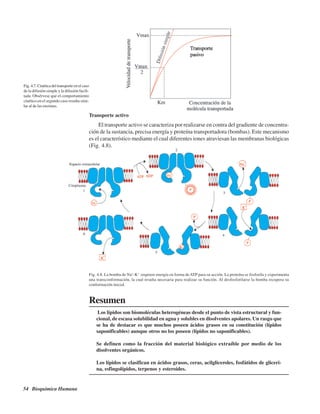 54 Bioquímica Humana
Transporte activo
El transporte activo se caracteriza por realizarse en contra del gradiente de concentra-
ción de la sustancia, precisa energía y proteína transportadora (bombas). Este mecanismo
es el característico mediante el cual diferentes iones atraviesan las membranas biológicas
(Fig. 4.8).
Fig. 4.8. La bomba de Na+
-K+
requiere energía en forma deATP para su acción. La proteína se fosforila y experimenta
una transconformación, la cual resulta necesaria para realizar su función. Al desfosforilarse la bomba recupera su
conformación inicial.
Fig. 4.7. Cinética del transporte en el caso
de la difusión simple y la difusión facili-
tada. Obsérvese que el comportamiento
cinético en el segundo caso resulta simi-
lar al de las enzimas.
Resumen
Los lípidos son biomoléculas heterogéneas desde el punto de vista estructural y fun-
cional, de escasa solubilidad en agua y solubles en disolventes apolares. Un rasgo que
se ha de destacar es que muchos poseen ácidos grasos en su constitución (lípidos
saponificables) aunque otros no los poseen (lípidos no saponificables).
Se definen como la fracción del material biológico extraíble por medio de los
disolventes orgánicos.
Los lípidos se clasifican en ácidos grasos, ceras, acilgliceroles, fosfátidos de gliceri-
na, esfingolípidos, terpenos y esteroides.
http://MedicoModerno.Blogspot.com
 