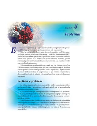 Proteínas
E
n casi todos los procesos que ocurren en las células están presentes las proteí-
nas (del griego proteos, que significa primero o más importante).
Entre las macromoléculas, el ácido desoxirribonucleico (ADN) es la me-
moria que contiene la información genética, y los ácidos ribonucleicos (ARN)
son las decodificadoras, ya que son capaces de convertir la información alma-
cenada en el genoma en la información secuencial de las proteínas, que les
permite adquirir su estructura tridimensional funcional. Las proteínas son las
macromoléculas ejecutoras.
Existen miles de proteínas diferentes, cada una con función específica.
Una determinada estructura permite una función determinada y las proteínas
son un ejemplo sobresaliente; por ello se vuelve importante e imprescindible
el estudio de la estructura de las proteínas, lo que permite comprender su
diversidad funcional, la relación estructura-función y sus propiedades más
relevantes.
Péptidos y proteínas
La polimerización de los L-α- aminoácidos unidos por enlace peptídico,
origina los péptidos y las proteínas, en dependencia de que su peso molecular
sea menor o mayor de 5000 D.
Cada aminoácido que forma parte de una cadena peptídica se le denomi-
na residuo, pues ha perdido un átomo de hidrógeno de su grupo amino y una
porción hidroxilo de su grupo carboxilo, o uno de los dos, si ocupan los extre-
mos de la cadena.
Los péptidos pueden clasificarse de acuerdo con el número de aminoácidos
constituyentes en: dipéptidos, si contienen dos; tripéptidos, si contienen tres;
tetrapéptidos, si contienen cuatro; y así sucesivamente, o en general denomi-
narse polipéptidos cuando están integrados por más de 7 residuos de
aminoácidos.
http://MedicoModerno.Blogspot.com
 