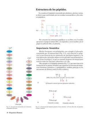 58 Bioquímica Humana
Estructura de los péptidos.
Si se analiza el tripéptido constituido por glutámico, glicina y serina,
se observa que está formado por tres residuos aminoacídicos y dos enla-
ces peptídicos.
Por convenio las estructuras peptídicas se escriben con el residuo
que posee el grupo α-amino libre a la izquierda y con el residuo con el
grupo α-carboxilo libre a la derecha.
Importancia biomédica
Muchas hormonas son polipéptidos, por ejemplo el glucagón,
constituido por 29 aminoácidos (Fig. 5.1), cuya función es propi-
ciar la movilización de los almacenes de glucógeno hepático y de
triacilgliceroles del tejido adiposo en los períodos interalimentarios,
o de ayuno fisiológico, lo que nos permite disponer de energía para
realizar todas las funciones inherentes a la vida.
Otro ejemplo es el tripéptido glutatión (Fig. 5.2), que interviene en la
formación de los puentes disulfuro que requieren la estructura de nume-
rosas hormonas proteínicas y polipeptídicas; también participa en los
mecanismos de defensa contra el estrés oxidativo.
Fig. 5.1. Secuencia de aminoácidos de la hormona
polipeptídica glucagón.
Fig. 5.2. a) Estructura del tripéptido glutatión (forma reducida). b) Forma abreviada del glutatión
oxidado y reducido.
a)
b)
http://MedicoModerno.Blogspot.com
 