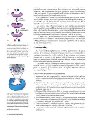 76 Bioquímica Humana
origen al complejo enzima-sustrato (ES). Este complejo se forma de manera
reversible,osea,quepuededescomponersenuevamentedandoorigenalsustrato
y a la enzima libre. No debe confundirse el complejo enzima sustrato con el
complejo activado que fue tratado anteriormente.
Una vez formado el complejo enzima-sustrato este puede realizar la trans-
formación del sustrato (segunda etapa) dando origen al producto (P) y a la
enzima libre que está en condiciones de volver a iniciar el proceso. En la
figura 6.4 se resume el mecanismo.
A la primera etapa le llamamos etapa de unión y a la segunda etapa de
transformación. La actividad de las enzimas puede ser modificada alterando la
etapa 1, la 2 o ambas. Esta es una representación simplificada pues es posible
suponer la existencia de otros complejos intermediarios, en particular sobre
todo cuando en la reacción intervienen cofactores, o más de un sustrato.
El punto crucial de este mecanismo básico es la existencia del complejo
enzima-sustrato. Su existencia fue propuesta por primera vez por Henry en
1905 y a partir de ese momento se han reunido una importante serie de indicios
de la existencia del mismo.
Centro activo
La existencia del complejo enzima-sustrato y la característica de que la
mayoría de los sustratos presentan un tamaño varias veces menor que la es-
tructura de la enzima, lleva a la conclusión de que la enzima solo entra en
contacto con el sustrato en una pequeña zona específica de su voluminosa
estructura. Esta pequeña porción de la enzima donde se produce la unión con
el sustrato recibe el nombre de centro activo.
Aunque las enzimas difieren grandemente en estructura, especificidad y
modo de catálisis, se puede establecer un número de generalizaciones con res-
pecto a la estructura de los centros activos. Un esquema del centro activo se
muestra en la figura 6.5.
Características del centro activo de una enzima
1. Representa una porción pequeña del volumen total de la enzima. Muchos
de los residuos de aminoácidos de la enzima no entran en contacto con el
sustrato.
2. El centro activo de una enzima tiene un conjunto de grupos químicos orde-
nados espacialmente de forma precisa. Esto hace que el sustrato quede
unido al mismo de forma tan íntima que prácticamente casi ninguna otra
molécula puede unirse.
3. Es una entidad tridimensional. Este se presenta generalmente como una
cavidad constituida a expensas de los repliegues que la cadena polipeptídica
forma al establecer su estructura terciaria.
4. Los aminoácidos del centro activo no necesariamente están adyacentes
unos a otros en la cadena polipeptídica lineal. El acercamiento se produce
como consecuencia del plegamiento de la cadena.
5. Está situado superficialmente en la enzima, debido a esto, permite el acce-
so de las moléculas del sustrato con relativa facilidad.
6.Losgruposqueintervienenenlaformacióndelcentroactivorealizandiferen-
tesfunciones.
Fig. 6.4. La imagen muestra el mecanismo bá-
sico de acción de las enzimas. El sustrato y la
enzima se unen en una reacción reversible y se
produceelcomplejoenzima-sustrato.Estafase
de la reacción es rápida lo cual permite que se
alcance el estado de equilibrio. Es la denomi-
nada etapa de unión. El complejo enzima-
sustrato se descompone lentamente en la enzi-
ma libre y los productos. Es la llamada etapa
de transformación.
Fig. 6.5. Elcentroactivocomosemuestraenla
parte inferior ocupa solamente una pequeña
porcióndelasuperficiedelaenzima.Tieneuna
estructura tridimensional en la que participa el
eje peptídico de la proteína (no representado)
los grupos de ambientación mostrados en gris,
los grupos de unión representados en azul y los
grupos catalíticos que aparecen en rojo. Obsér-
vese que esos grupos tienen una disposición
tridimensionalyporlotantononecesariamente
sonconsecutivosenlasecuenciadeaminoácidos
de la proteína enzimática.
http://MedicoModerno.Blogspot.com
 