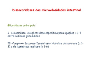 Dissacaridases das microvilosidades intestinal
Glicosidases principais:
I- Glicoamilase- exoglicosidase específica para ligações  1-4
entre resíduos glicosídicos
II- Complexo Sacarase-Isomaltase- hidrolise de sacarose ( 1-
2) e de isomaltase-maltase ( 1-6)
 