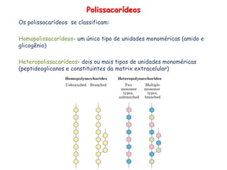 Polissacarídeos
Os polissacarídeos se classificam:
Homopolissacarídeos- um único tipo de unidades monoméricas (amido e
glicogênio)
Heteropolissacarídeos- dois ou mais tipos de unidades monoméricas
(peptideoglicanos e constituintes da matrix extracelular)
 