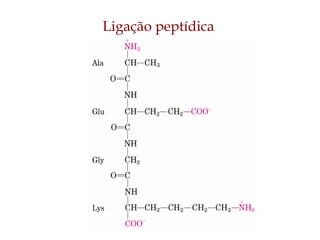 Ligação peptídica
 