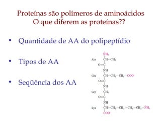 Proteínas são polímeros de aminoácidos
O que diferem as proteínas??
• Quantidade de AA do polipeptídio
• Tipos de AA
• Seqüência dos AA
 