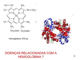 18
Hemoglobina- 572 aa
DOENÇAS RELACIONADAS COM A
HEMOGLOBINA ?
 