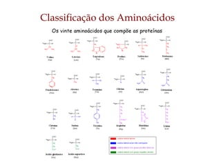 Classificação dos Aminoácidos
 