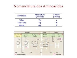 Aminoácido
Abreviatura
(3 letras)
Símbolo
(1 letra)
Valina Val V
Triptofano Trp W
Glicina Gly G
Nomenclatura dos Aminoácidos
 