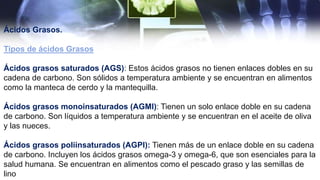 Bioquimica de acidos grasos y su importancia.pptx