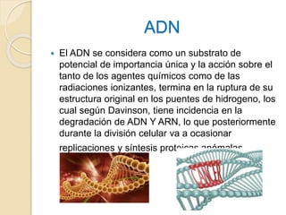 ADN
 El ADN se considera como un substrato de
potencial de importancia única y la acción sobre el
tanto de los agentes químicos como de las
radiaciones ionizantes, termina en la ruptura de su
estructura original en los puentes de hidrogeno, los
cual según Davinson, tiene incidencia en la
degradación de ADN Y ARN, lo que posteriormente
durante la división celular va a ocasionar
replicaciones y síntesis proteicas anómalas.
 