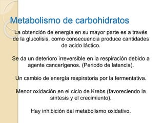 Metabolismo de carbohidratos
La obtención de energía en su mayor parte es a través
de la glucolisis, como consecuencia produce cantidades
de acido láctico.
Se da un deterioro irreversible en la respiración debido a
agente cancerígenos. (Periodo de latencia).
Un cambio de energía respiratoria por la fermentativa.
Menor oxidación en el ciclo de Krebs (favoreciendo la
síntesis y el crecimiento).
Hay inhibición del metabolismo oxidativo.
 