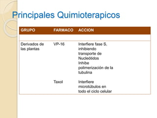 Principales Quimioterapicos
GRUPO FARMACO ACCION
Derivados de
las plantas
VP-16
Taxol
Interfiere fase S,
inhibiendo
transporte de
Nucleótidos
Inhibe
polimerización de la
tubulina
Interfiere
microtúbulos en
todo el ciclo celular
 