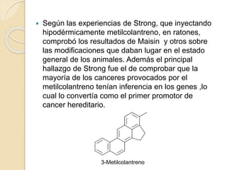  Según las experiencias de Strong, que inyectando
hipodérmicamente metilcolantreno, en ratones,
comprobó los resultados de Maisin y otros sobre
las modificaciones que daban lugar en el estado
general de los animales. Además el principal
hallazgo de Strong fue el de comprobar que la
mayoría de los canceres provocados por el
metilcolantreno tenían inferencia en los genes ,lo
cual lo convertía como el primer promotor de
cancer hereditario.
3-Metilcolantreno
 