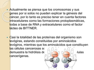  Actualmente se piensa que los cromosomas y sus
genes por si solos no pueden explicar la génesis del
cáncer, por lo tanto es preciso tener en cuenta factores
intracelulares como las formaciones protoplasmáticas,
todas a base de RNA y extracelulares como el factor
lácteo de BITTNER.
 Casi la totalidad de las proteínas del organismo son
levógiras, estando constituidas por aminoácidos
levógiros, mientras que los aminoácidos que constituyen
las células cancerosas son dextrógiros según lo
demuestra la hidrólisis de las proteínas de las células
cancerígenas.
 