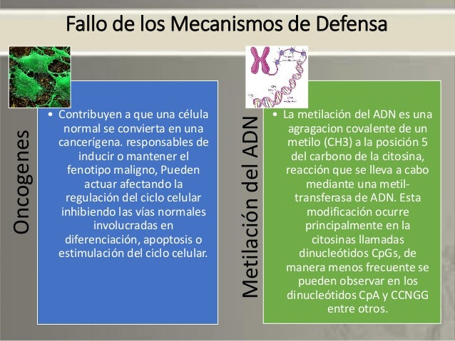 Los Tumores Benignos Se Pueden Convertir En Malignos