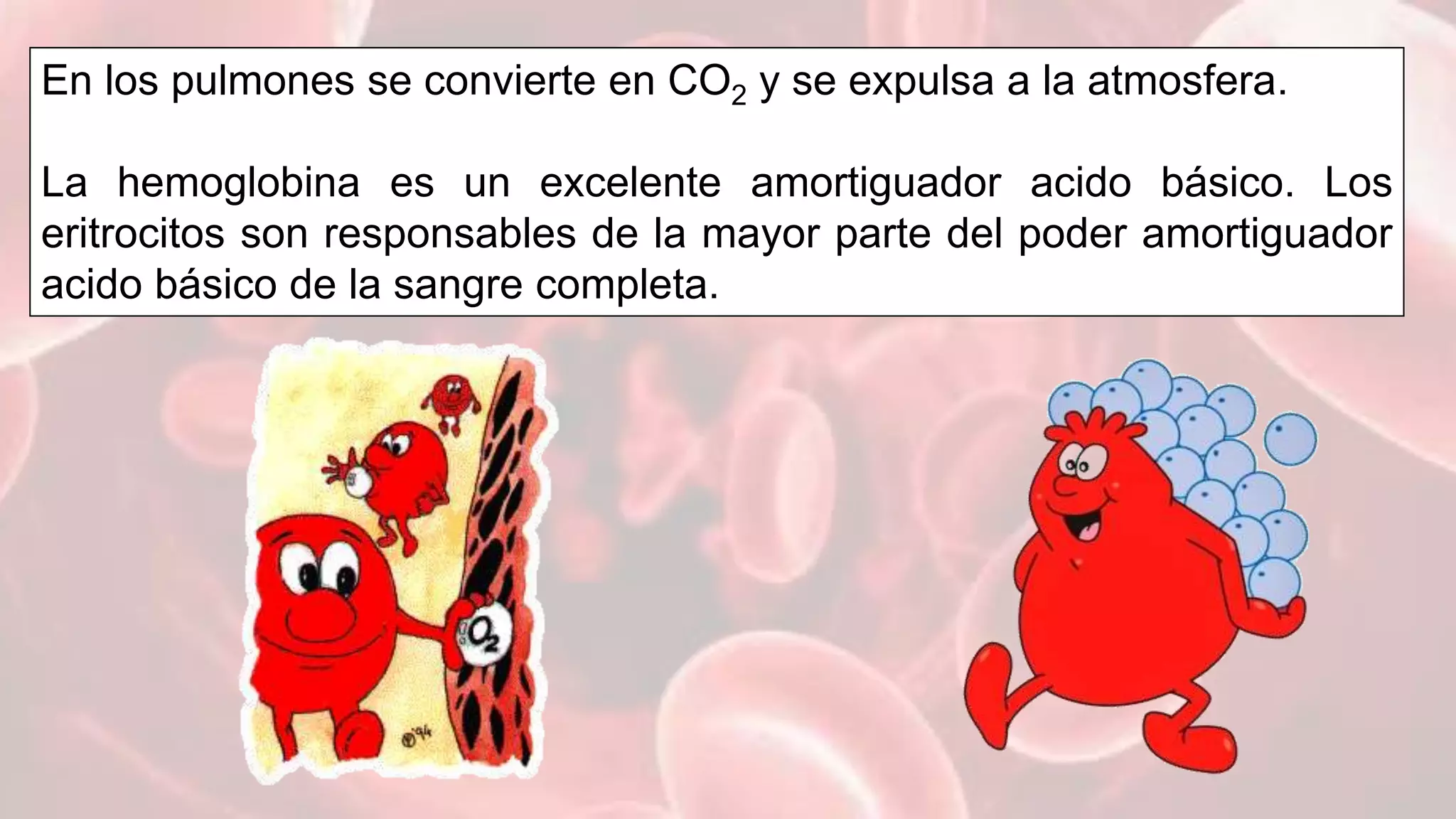 Bioquimica del eritrocito | PPTX