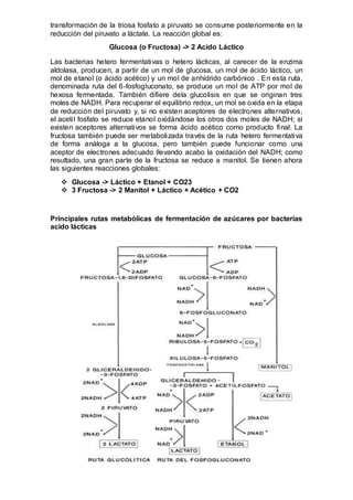 transformación de la triosa fosfato a piruvato se consume posteriormente en la 
reducción del piruvato a láctate. La reacción global es: 
Glucosa (o Fructosa) -> 2 Acido Láctico 
Las bacterias hetero fermentativas o hetero lácticas, al carecer de la enzima 
aldolasa, producen, a partir de un mol de glucosa, un mol de ácido láctico, un 
mol de etanol (o ácido acético) y un mol de anhídrido carbónico . En esta ruta, 
denominada ruta del 6-fosfogluconato, se produce un mol de ATP por mol de 
hexosa fermentada. También difiere dela glucolisis en que se originan tres 
moles de NADH. Para recuperar el equilibrio redox, un mol se oxida en la etapa 
de reducción del piruvato y, si no existen aceptores de electrones alternativos, 
el aceti l fosfato se reduce etanol oxidándose los otros dos moles de NADH; si 
existen aceptores alternativos se forma ácido acético como producto final. La 
fructosa también puede ser metabolizada través de la ruta hetero fermentativa 
de forma análoga a la glucosa, pero también puede funcionar como una 
aceptor de electrones adecuado llevando acabo la oxidación del NADH; como 
resultado, una gran parte de la fructosa se reduce a manitol. Se tienen ahora 
las siguientes reacciones globales: 
 Glucosa -> Láctico + Etanol + CO23 
 3 Fructosa -> 2 Manitol + Láctico + Acético + CO2 
Principales rutas metabólicas de fermentación de azúcares por bacterias 
acido lácticas 
 