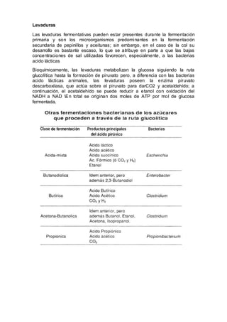 Levaduras 
Las levaduras fermentativas pueden estar presentes durante la fermentación 
primaria y son los microorganismos predominantes en la fermentación 
secundaria de pepinillos y aceitunas; sin embargo, en el caso de la col su 
desarrollo es bastante escaso, lo que se atribuye en parte a que las bajas 
concentraciones de sal utilizadas favorecen, especialmente, a las bacterias 
acido lácticas 
Bioquímicamente, las levaduras metabolizan la glucosa siguiendo la ruta 
glucolítica hasta la formación de piruvato pero, a diferencia con las bacterias 
acido lácticas animales, las levaduras poseen la enzima piruvato 
descarboxilasa, que actúa sobre el piruvato para darCO2 y acetaldehído; a 
continuación, el acetaldehído se puede reducir a etanol con oxidación del 
NADH a NAD En total se originan dos moles de ATP por mol de glucosa 
fermentada. 
 
