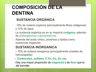 COMPOSICIÓN DE LA
DENTINA
 SUSTANCIA ORGÁNICA
 18% de materia orgánica (principalmente fibras colágenas)
y 12% de agua.
 La sustancia orgánica es en su mayoría colágeno, además
de proteoglicanos y glicoproteínas.
 Además del acido cítrico, proteínas y lípidos como
sustancias orgánicas.
 SUSTANCIA INORGANICA
- 70% de materia inorgánica (principalmente cristales de
hidroxiapatita)
- Carbonatos, sulfatos, F, Fe, Cu, Zn, etc.
-Hay una mayor proporción de magnesio y de fluor que la
del esmalte
 