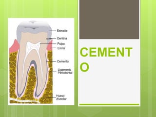 CEMENT
O
 