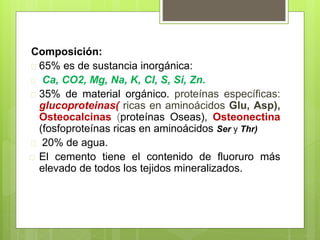 Composición:
 65% es de sustancia inorgánica:
 Ca, CO2, Mg, Na, K, Cl, S, Si, Zn.
 35% de material orgánico. proteínas específicas:
glucoproteinas( ricas en aminoácidos Glu, Asp),
Osteocalcinas (proteínas Oseas), Osteonectina
(fosfoproteínas ricas en aminoácidos Ser y Thr)
 20% de agua.
 El cemento tiene el contenido de fluoruro más
elevado de todos los tejidos mineralizados.
 
