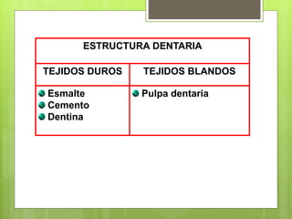 ESTRUCTURA DENTARIA
TEJIDOS DUROS TEJIDOS BLANDOS
Esmalte
Cemento
Dentina
Pulpa dentaria
 