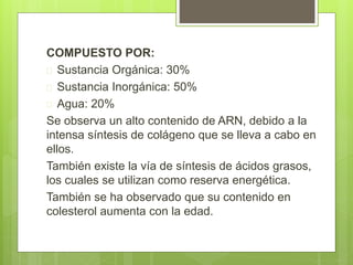 COMPUESTO POR:
 Sustancia Orgánica: 30%
 Sustancia Inorgánica: 50%
 Agua: 20%
Se observa un alto contenido de ARN, debido a la
intensa síntesis de colágeno que se lleva a cabo en
ellos.
También existe la vía de síntesis de ácidos grasos,
los cuales se utilizan como reserva energética.
También se ha observado que su contenido en
colesterol aumenta con la edad.
 