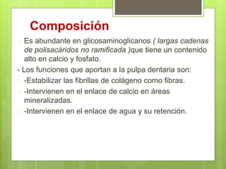Composición
 Es abundante en glicosaminoglicanos ( largas cadenas
de polisacáridos no ramificada )que tiene un contenido
alto en calcio y fosfato.
- Los funciones que aportan a la pulpa dentaria son:
 -Estabilizar las fibrillas de colágeno como fibras.
 -Intervienen en el enlace de calcio en áreas
mineralizadas.
 -Intervienen en el enlace de agua y su retención.
 