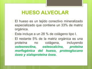 HUESO ALVEOLAR
 El hueso es un tejido conectivo mineralizado
especializado que contiene un 33% de matriz
orgánica.
 Esta incluye a un 28 % de colágeno tipo I.
 El restante 5% de la matriz orgánica es una
proteína no colágena, incluyendo
osteonectina, osteocalcina, proteína
morfogénica del hueso, proteoglucano
óseo y sialoproteína ósea.
 