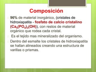 Composición
 96% de material inorgánico, (cristales de
hidroxiapatita - fosfato de calcio cristalino
(Ca5(PO4)3(OH)), con restos de material
orgánico que rodea cada cristal.
 Es el tejido mas mineralizado del organismo.
 Dentro del esmalte los cristales de hidroxiapatita
se hallan alineados creando una estructura de
varillas o prismas.
 