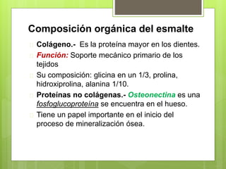 Composición orgánica del esmalte
 Colágeno.- Es la proteína mayor en los dientes.
 Función: Soporte mecánico primario de los
tejidos
 Su composición: glicina en un 1/3, prolina,
hidroxiprolina, alanina 1/10.
 Proteínas no colágenas.- Osteonectina es una
fosfoglucoproteína se encuentra en el hueso.
 Tiene un papel importante en el inicio del
proceso de mineralización ósea.
 