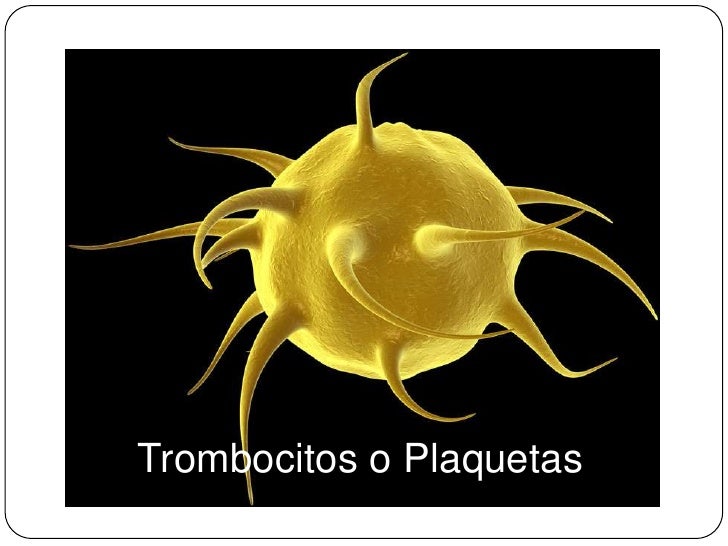 Faculdade de bioquimica