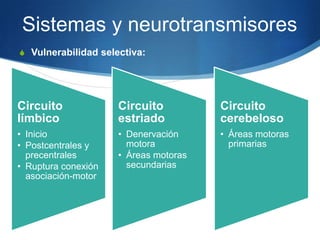 Sistemas y neurotransmisores
S Vulnerabilidad selectiva:




Circuito             Circuito          Circuito
límbico              estriado          cerebeloso
• Inicio             • Denervación     • Áreas motoras
• Postcentrales y      motora            primarias
  precentrales       • Áreas motoras
• Ruptura conexión     secundarias
  asociación-motor
 