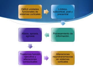 Déficit unidades        Límbico,
   funcionales de     subcortical, post y
sistemas corticales      precentral




 Afasia, apraxia,     Procesamiento de
    agnosia              información.




Trastornos función       Alteraciones
    ejecutiva y       neurotransmisoras
   alteraciones          en sistemas
  conductuales            corticales
 