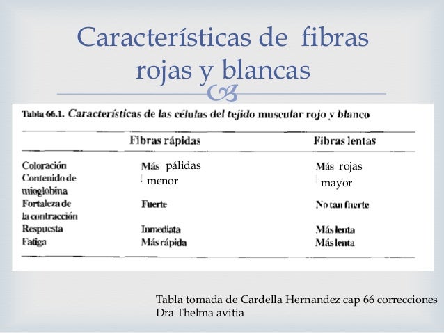 Bioquimica de musculo 1 (1) Bioquimica de musculo 1 (1)