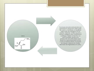 Lisina

Funciones de este aminoácido son
garantizar la absorción adecuada
de calcio y mantiene un equilibrio
adecuado de nitrógeno en los
adultos. Además, la lisina ayuda a
formar colágeno que constituye el
cartílago y tejido conectivo. La
Lisina también ayuda a la
producción de anticuerpos que
tienen la capacidad para luchar
contra el herpes labial y los brotes
de herpes y reduce los niveles
elevados de triglicéridos en suero.

 