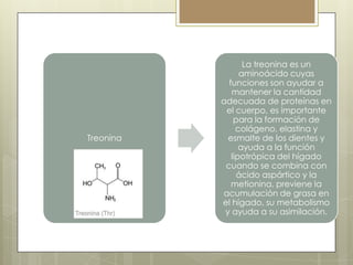 Treonina

La treonina es un
aminoácido cuyas
funciones son ayudar a
mantener la cantidad
adecuada de proteínas en
el cuerpo, es importante
para la formación de
colágeno, elastina y
esmalte de los dientes y
ayuda a la función
lipotrópica del hígado
cuando se combina con
ácido aspártico y la
metionina, previene la
acumulación de grasa en
el hígado, su metabolismo
y ayuda a su asimilación.

 