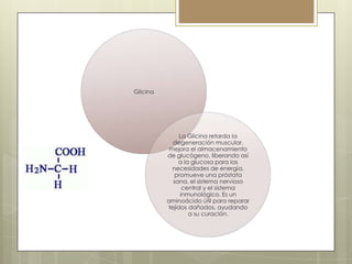 Glicina

La Glicina retarda la
degeneración muscular,
mejora el almacenamiento
de glucógeno, liberando así
a la glucosa para las
necesidades de energía,
promueve una próstata
sana, el sistema nervioso
central y el sistema
inmunológico. Es un
aminoácido útil para reparar
tejidos dañados, ayudando
a su curación.

 