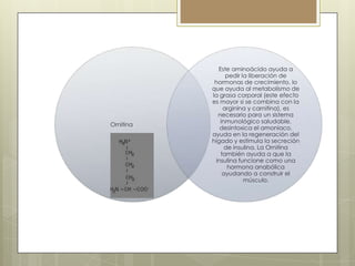 Ornitina

Este aminoácido ayuda a
pedir la liberación de
hormonas de crecimiento, lo
que ayuda al metabolismo de
la grasa corporal (este efecto
es mayor si se combina con la
arginina y carnitina), es
necesario para un sistema
inmunológico saludable,
desintoxica el amoniaco,
ayuda en la regeneración del
hígado y estimula la secreción
de insulina. La Ornitina
también ayuda a que la
insulina funcione como una
hormona anabólica
ayudando a construir el
músculo.

 