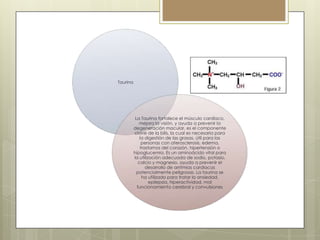 Taurina

La Taurina fortalece el músculo cardíaco,
mejora la visión, y ayuda a prevenir la
degeneración macular, es el componente
clave de la bilis, la cual es necesaria para
la digestión de las grasas, útil para las
personas con aterosclerosis, edema,
trastornos del corazón, hipertensión o
hipoglucemia. Es un aminoácido vital para
la utilización adecuada de sodio, potasio,
calcio y magnesio, ayuda a prevenir el
desarrollo de arritmias cardiacas
potencialmente peligrosas. La taurina se
ha utilizado para tratar la ansiedad,
epilepsia, hiperactividad, mal
funcionamiento cerebral y convulsiones

 