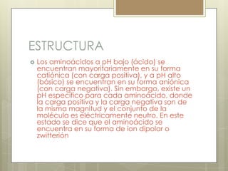 ESTRUCTURA


Los aminoácidos a pH bajo (ácido) se
encuentran mayoritariamente en su forma
catiónica (con carga positiva), y a pH alto
(básico) se encuentran en su forma aniónica
(con carga negativa). Sin embargo, existe un
pH específico para cada aminoácido, donde
la carga positiva y la carga negativa son de
la misma magnitud y el conjunto de la
molécula es eléctricamente neutro. En este
estado se dice que el aminoácido se
encuentra en su forma de ion dipolar o
zwitterión

 