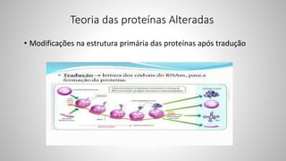 Teoria das proteínas Alteradas
• Modificações na estrutura primária das proteínas após tradução
 