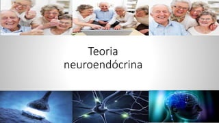 Teoria
neuroendócrina
 