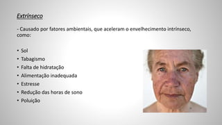 Extrínseco
- Causado por fatores ambientais, que aceleram o envelhecimento intrínseco,
como:
• Sol
• Tabagismo
• Falta de hidratação
• Alimentação inadequada
• Estresse
• Redução das horas de sono
• Poluição
 