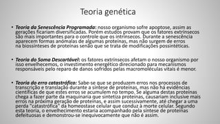 Teoria genética
• Teoria da Senescência Programada: nosso organismo sofre apoptose, assim as
gerações ficariam diversificadas. Porém estudos provam que os fatores extrínsecos
são mais importantes para o controle que os intrínsecos. Durante a senescência
aparecem formas anómalas de algumas proteínas, mas não surgem de erros
na biossínteses de proteínas senão que se trata de modificações possintéticas.
• Teoria do Soma Descartável: os fatores extrínsecos afetam o nosso organismo por
isso envelhecemos, o investimento energético direcionado para mecanismos
responsáveis pelo reparo de danos sofridos pelas macromoléculas vitais é menor.
• Teoria do erro catastrófico: Sabe-se que se produzem erros nos processos de
transcrição e translação durante a síntese de proteínas, mas não há evidências
científicas de que estes erros se acumulem no tempo. Se alguma destas proteínas
chega a fazer parte da maquinaria que sintetiza proteínas, causariam inclusive mais
erros na próxima geração de proteínas, e assim sucessivamente, até chegar a uma
perda "catastrófica" da homeostase celular que conduz à morte celular. Segundo
esta teoria, o envelhecimento estaria acompanhado pela síntese de proteínas
defeituosas e demonstrou-se inequivocamente que não é assim.
 