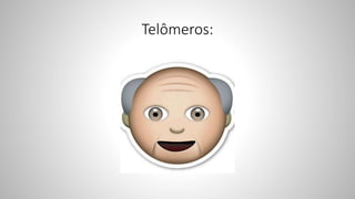 Telômeros:
 