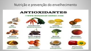 Nutrição e prevenção do envelhecimento
 